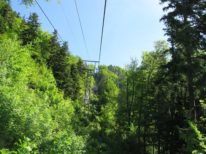 2009-05_Weissenstein 026.jpg